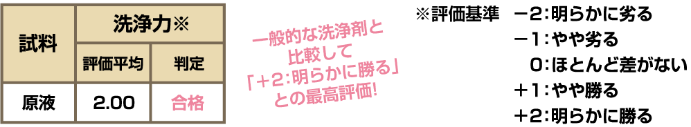 洗浄力試験